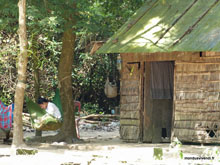 La femme au hamac - Cambodge